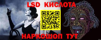 трава Гатчина