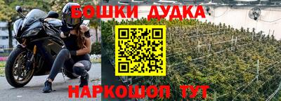 трава Гатчина