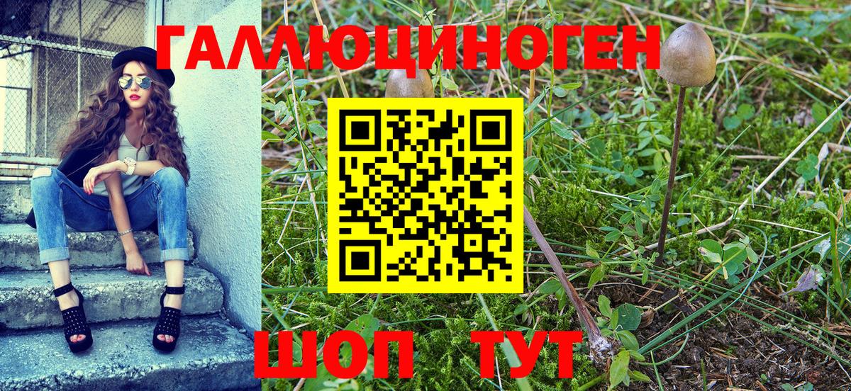 Псилоцибиновые грибы мицелий Орехово-Зуево